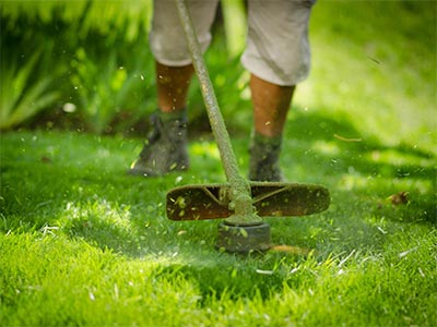 Limpeza de terrenos roçagem limpeza terreno