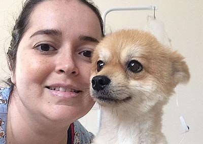 Cachorro em clínica veterinária cachorro