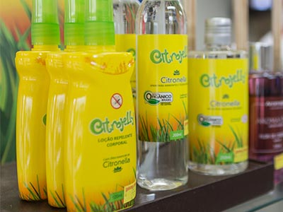 Produtos para prevenção da dengue Repelentes