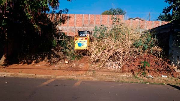 Limpeza de terreno Limpeza de terreno