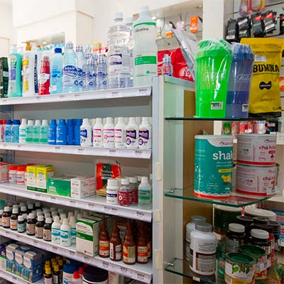 Suplementos e outros produtos Suplementos alimentares