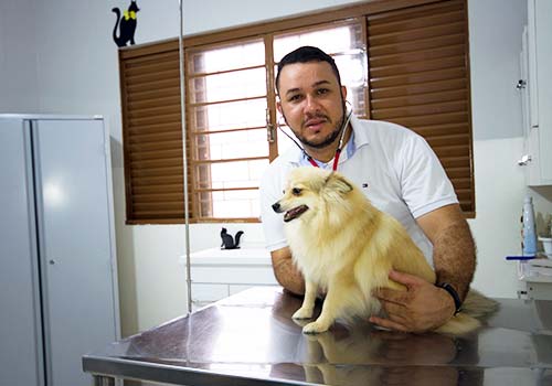 área interna consulta veterinária