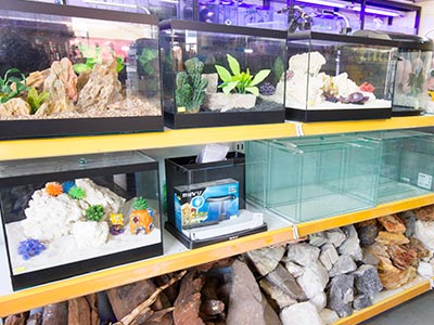 Aquário para peixes Aquário para peixes