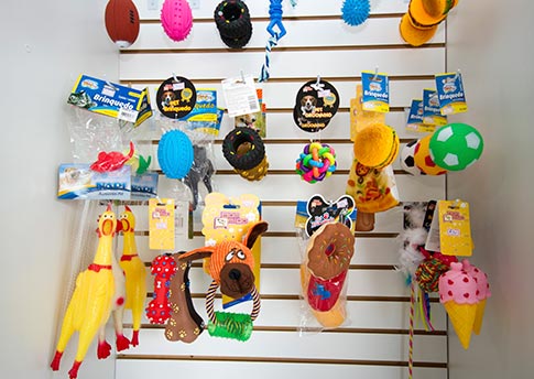 Acessórios para cães filhotes Brinquedos para cães