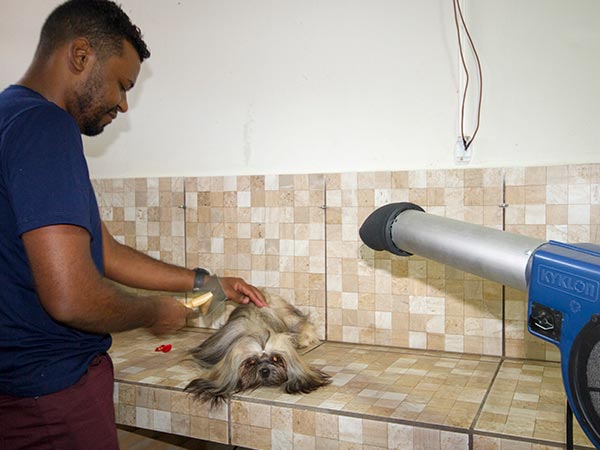 Banho em cães de diversas raças Banho e toda completa