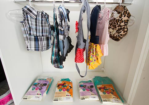 Roupa para cães Roupa para cães
