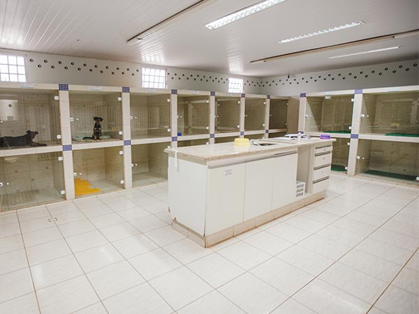 Espaço de internação Ala de internação