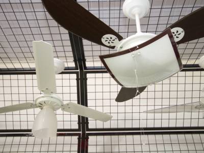 Ventiladores com luminária Ventiladores
