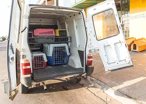 Táxi dog Serviço de leva e traz