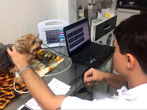 exames veterinários exames-veterinários