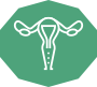ginecologia ginecologia