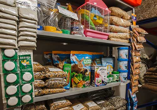 alimentos para coelhos e pássaros alimentos-para-coelhos-e-pássaros
