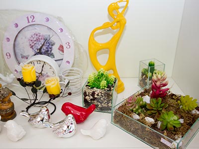 Plantas decorativas Plantas para decoração