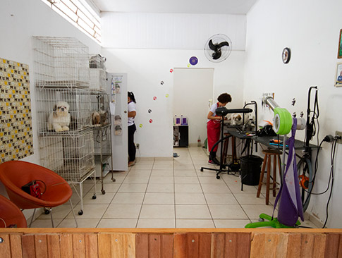 otimo ambiente ambiente