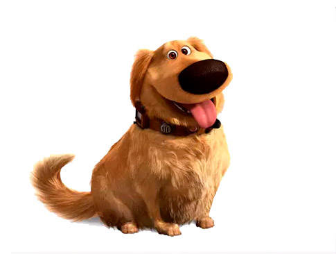 pet pet