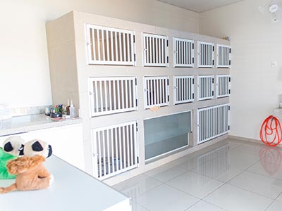 Sala de internação Hotel para cães e gatos