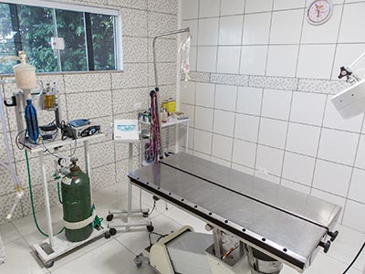 Centro cirúrgico Cirurgias veterinárias