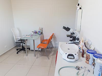 Sala de atendimento Sala de consultas veterinárias