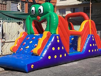 Escorregador inflável para festas Centopeia