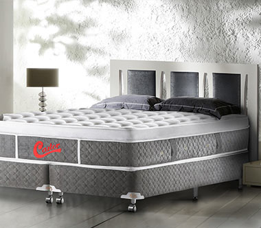 Conjunto Box Castor Gold Star Light Stress Conjunto Box Castor Gold Star Light Stress