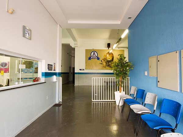 Pátio patio