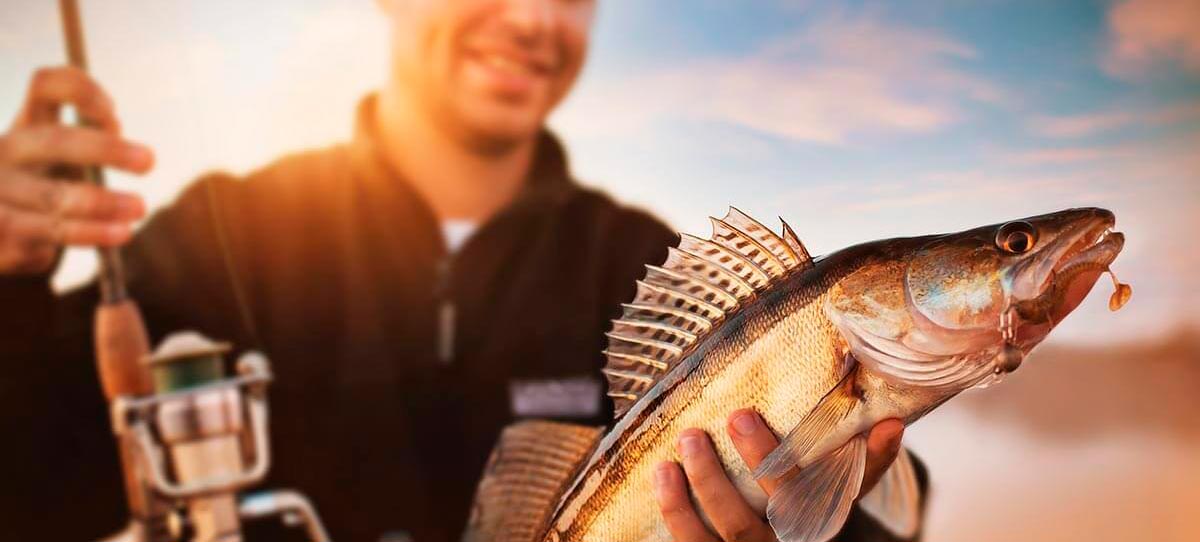 Acessórios para pesca esportiva Acessórios para pesca esportiva