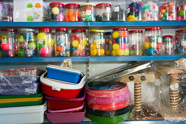 Brinquedos, mordedores e diversos acessórios para cães e gatos Acessórios para pets