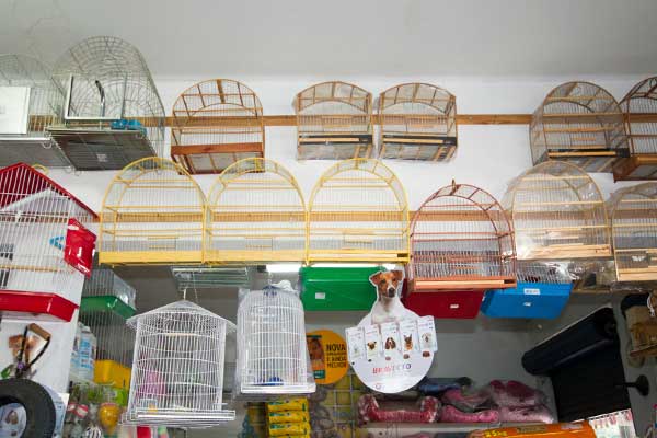 Gaiolas para aves Gaiolas