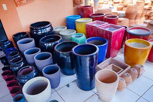 venda e aluguel de vasos vasos