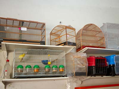 Gaiolas Gaiolas para pássaros