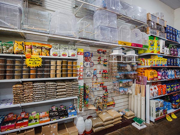Acessórios e brinquedos Pet shop