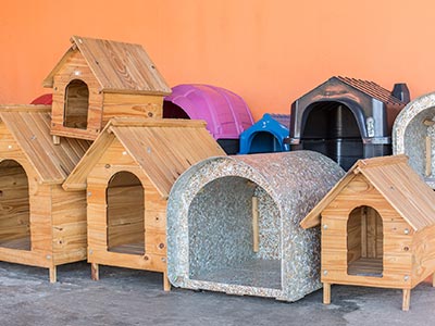 Casinha para cães de diversos tamanhos Casinha para cães