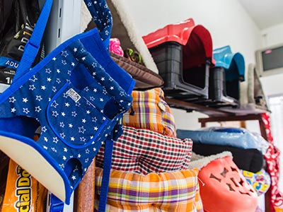 Caminhas, almofadas, casinhas, brinquedos e acessórios Acessórios para pets