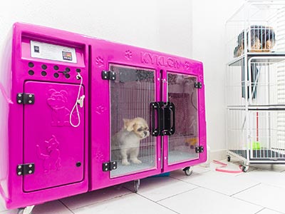 Ambiente de espera para os animais Sala de espera