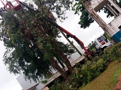 Remoção de materiais e entulhos Munck para remover entulho