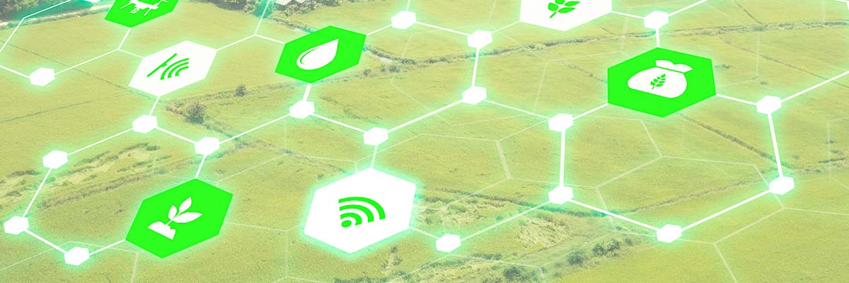 Internet no campo Internet para zonas rurais