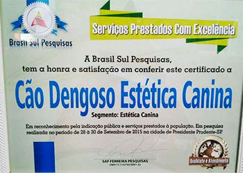 certificado de excelência nos serviços certificado-excelência-serviços