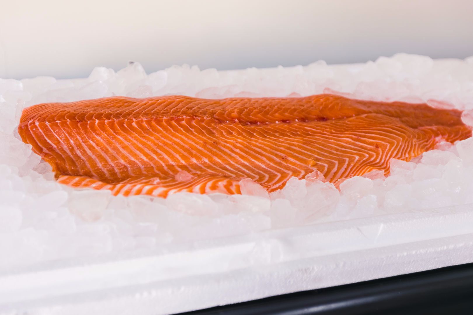 Filés de peixe files-de-peixe