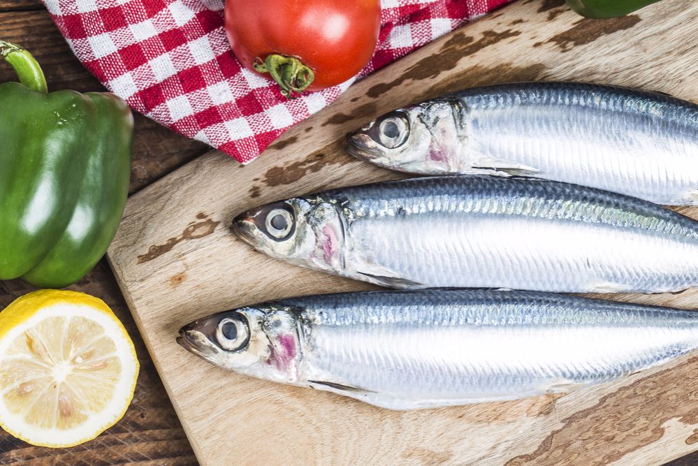 Sardinha sardinha