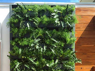 Muro decorado com plantas Muro decorado com plantas