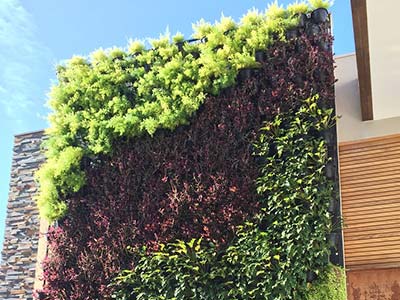 Painel decorado com plantas Painel decorado com plantas