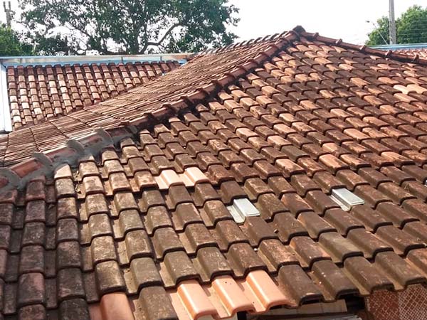 limpeza de telhados limpeza de telhados