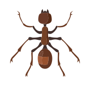 formiga formiga