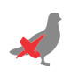 pombo pombo