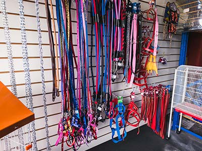 Guias para passeio e coleiras Coletas, guias e peitoral