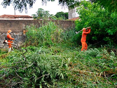 Sobras de limpeza de terreno Sobras de limpeza de terreno