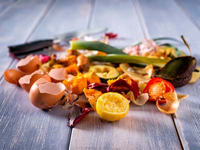 Resíduos orgânicos do setor alimentício Restos de alimentos