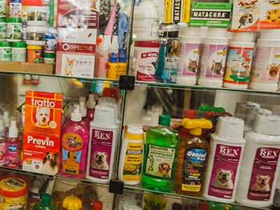 Produtos de higiene canina Shampoo para cães