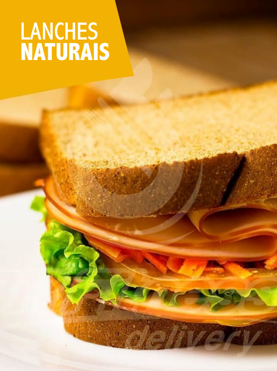 lanches naturais lanches naturais