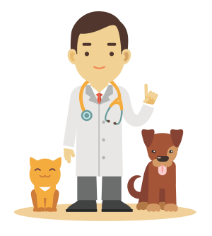 Atendimento veterinário de qualidade Atendimento veterinário de qualidade
